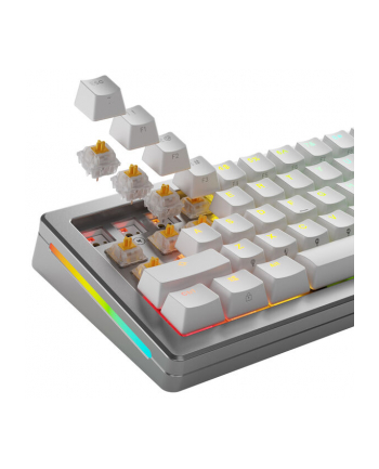 Glorious Panda Silent Switches, mechaniczne, 5-pinowe, dotykowe, MX-Stem, 50g - nasmarowane, 36 sztuk nr 1