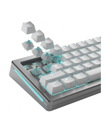 Glorious Lynx Silent Switches, mechaniczne, 5-pinowe, liniowe, MX-Stem, 40g - nasmarowane, 36 sztuk nr 1