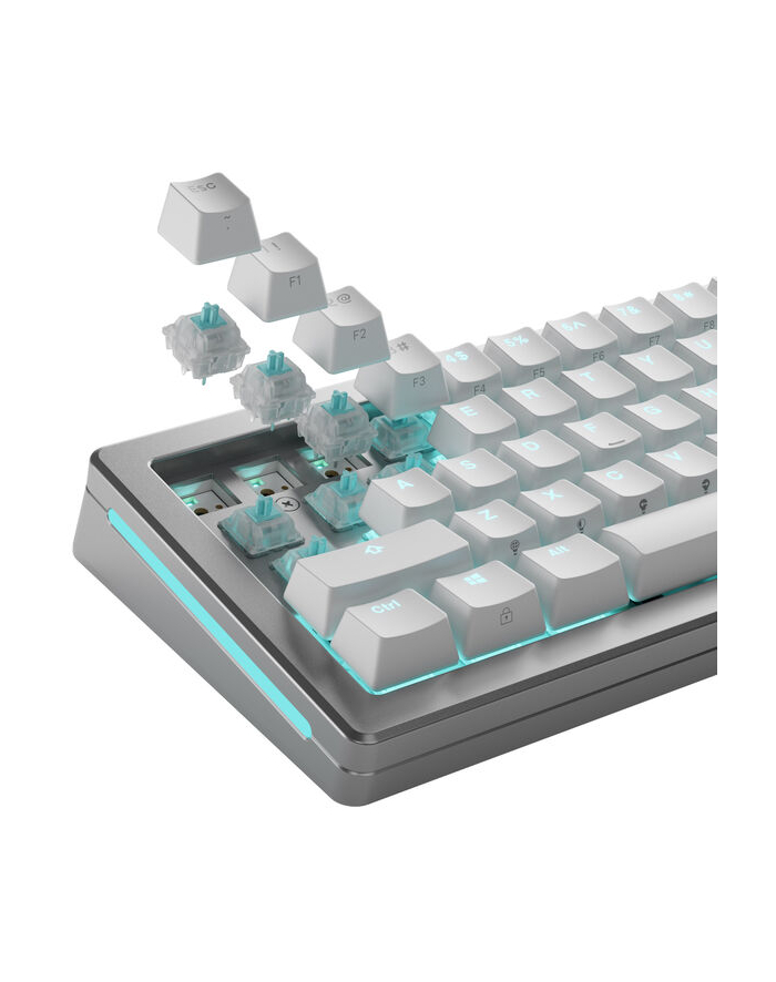 Glorious Lynx Silent Switches, mechaniczne, 5-pinowe, liniowe, MX-Stem, 40g - nasmarowane, 36 sztuk główny