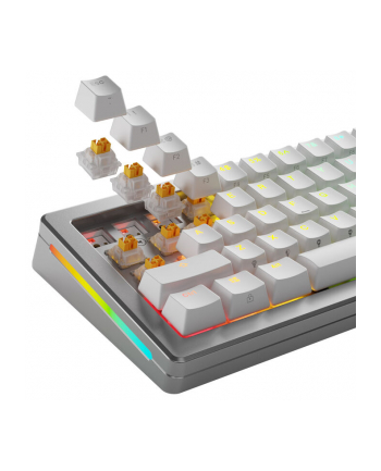 Glorious Panda HE Silent Switches, Efekt Halla, Tatile, MX-Stem, 45g - nasmarowany, 36 sztuk nr 1