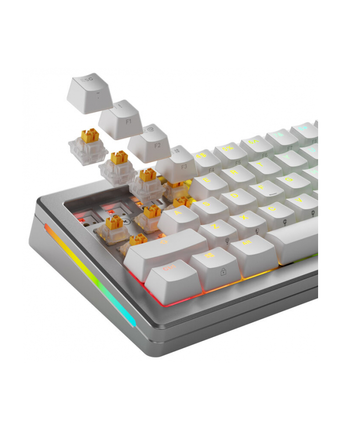 Glorious Panda HE Silent Switches, Efekt Halla, Tatile, MX-Stem, 45g - nasmarowany, 36 sztuk główny