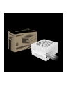 Gigabyte Netzteil P550SS ICE 550Watt - nr 8
