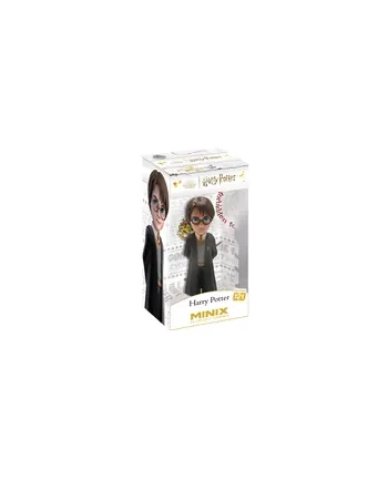 MINIX HARRY POTTER - HARRY POTTER