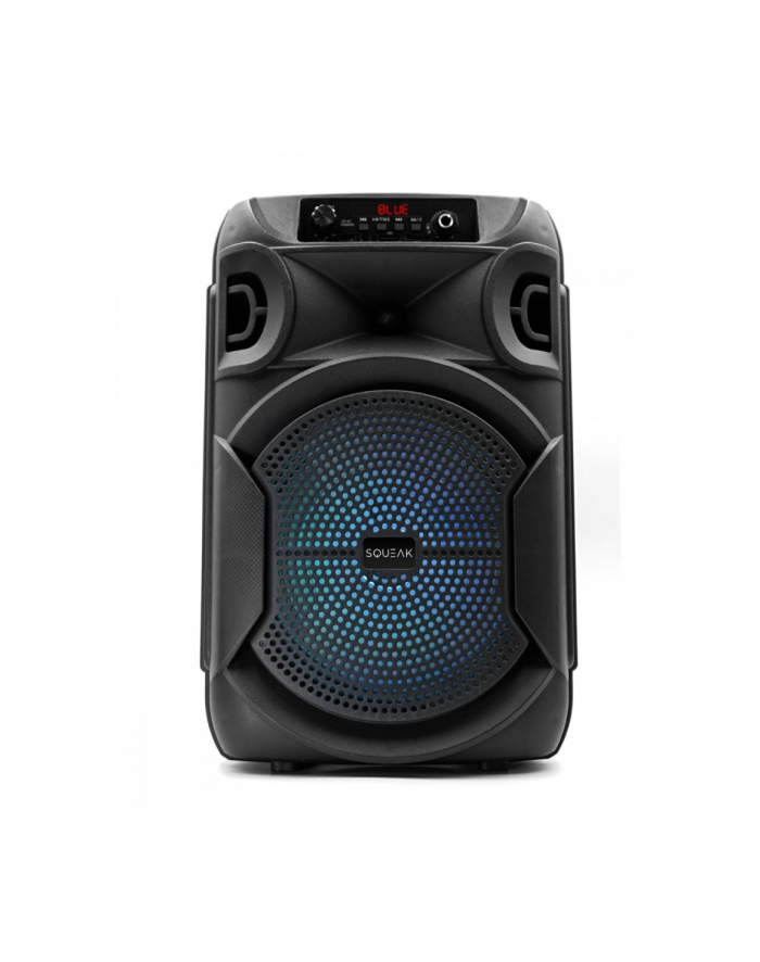 squeak Głośnik Bluetooth 5.3 EDR PulseTower 1000W Funkcja Karaoke SQ1006 główny