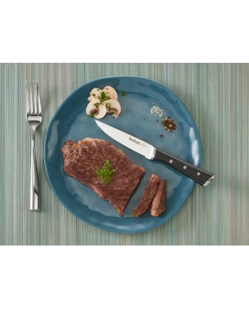 Zestaw 4 noży TEFAL Ice Force K232S414