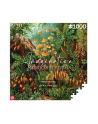cenega publishing Puzzle Good Loot 1000 Imagination Ernst Haeckel Muscinae - nr 1