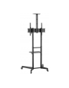 Goobay Stand Tv Pro Cart L 37-70 Cali Do 50Kg - nr 9