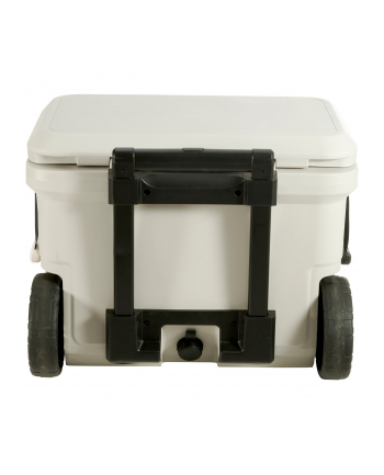 Coleman Pro 55qt Pudelko Chlodzace nr 1