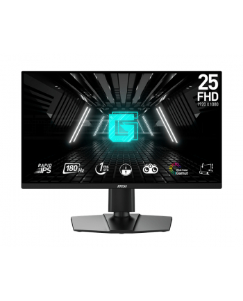 Msi 24,5'' G255PFDE E2 (9S6-3BC09M-010)