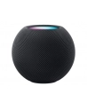 Apple HomePod Mini Czarny - nr 18