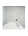 Lc-Power Uchwyt biurkowy na monitor 17'' - 49'' (LC-EQ-A49W) - nr 10
