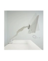 Lc-Power Uchwyt biurkowy na monitor 17'' - 49'' (LC-EQ-A49W) - nr 13
