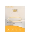 Immax Neo Inteligentna Lampa Wisząca Fino 1 Okrąg 80 Cm 60 W Złota Zigbee 3.0 - nr 8