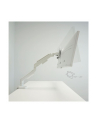 Lc-Power Uchwyt biurkowy na monitor 17'' - 49'' (LC-EQ-A49W) - nr 13