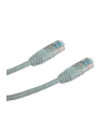 Datacom UTP Cat6 szary 20m (1598) - nr 1