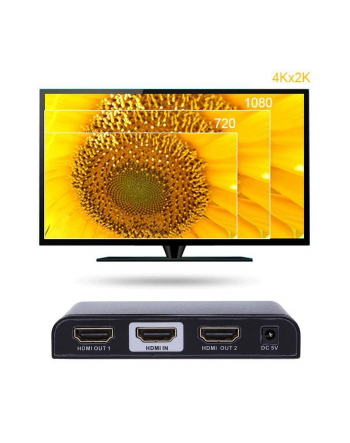 TECHLY SPLITTER AV HDMI 20 1/2 ULTRA HD 4KX2K 3D IDATA HDMI2-4K2 główny