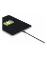 STARTECH  Kabel USB 2.0 C-C M/M EPR 240W Cable - 4m - US  USB2EPR4M - nr 5