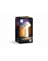 PHILIPS HUE Twilight biały (929003711201) - nr 21