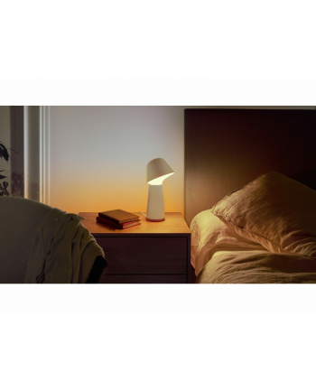 PHILIPS HUE Twilight biały (929003711201)