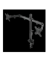 Uchwyt do monitora, stołowy Deltaco Gaming GAM-040, 33,0 cm (13'') - 81,3 cm (32''), Maks. udźwig: 16 kg - nr 2