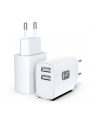 TECHLY Podwójna Ładowarka USB 2x USB 12W max. 2.4A 5V Mocna do Telefonu - nr 2