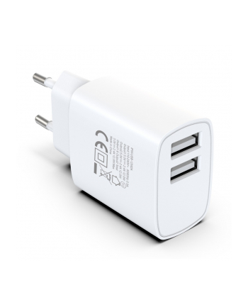 TECHLY Podwójna Ładowarka USB 2x USB 12W max. 2.4A 5V Mocna do Telefonu