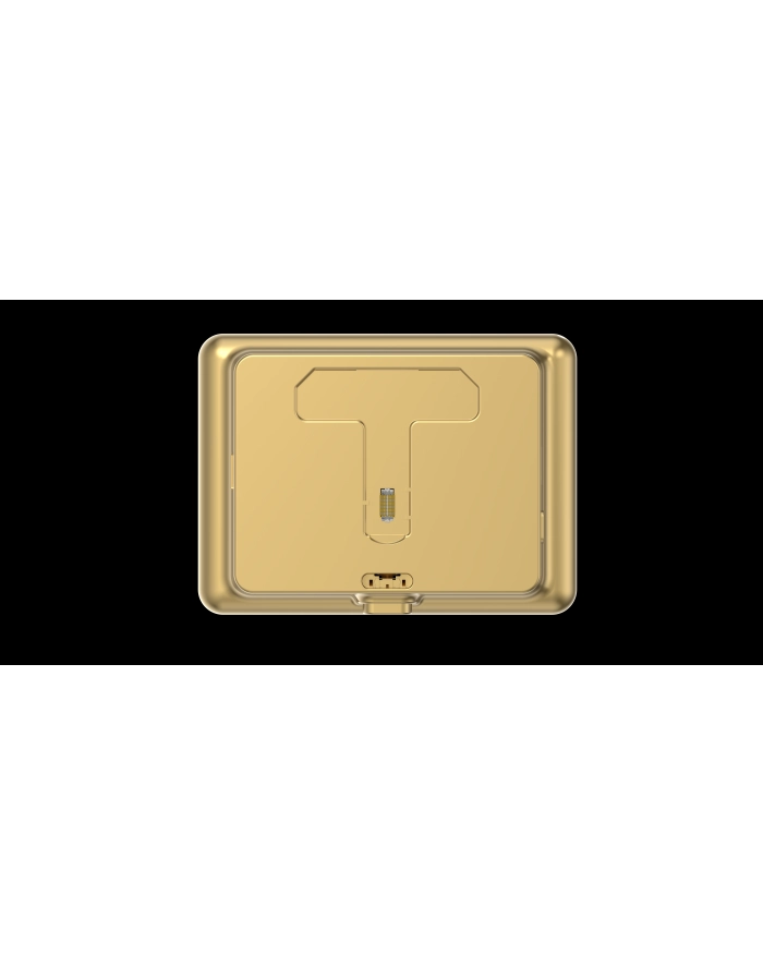 ezviz Bezprzewodowy dzwonek do drzwi z wizjerem DP2C (Golden) główny