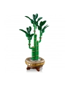 LEGO 10344 BOTANICALS Dracena sandera - nr 12