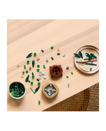 LEGO 10344 BOTANICALS Dracena sandera nr 1