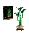 LEGO 10344 BOTANICALS Dracena sandera - nr 1
