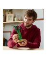 LEGO 10344 BOTANICALS Dracena sandera - nr 2