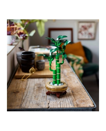 LEGO 10344 BOTANICALS Dracena sandera nr 2