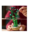 LEGO 10344 BOTANICALS Dracena sandera - nr 5