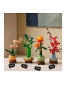 LEGO 10344 BOTANICALS Dracena sandera - nr 6