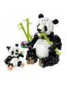 LEGO 31165 CREATOR Dzikie zwierzęta: rodzina pand - nr 2