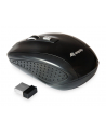Equip 245104 Czarna (4015867208557) - nr 1