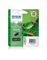 Tusz Epson Stylus Photo Gloss Optimizer T0540 Black - nr 22