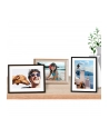 Papier HP 10x15 Glossy(25) Q8691A - nr 18
