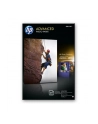 Papier HP 10x15 Glossy(25) Q8691A - nr 40