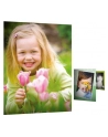 Papier HP Everyday Q5451A - nr 25