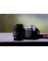 canon Obiektyw RF 24MM F1.4L VCM EMEA 6907C005 - nr 21