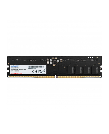 adata Pamięć Premier DDR5 5600 DIMM 16GB Single Tray