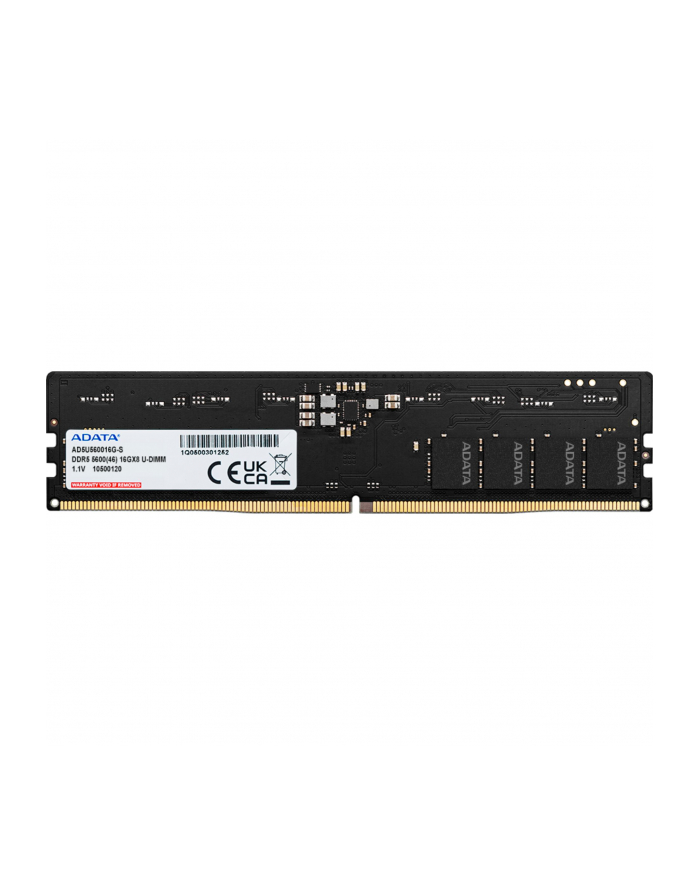 adata Pamięć Premier DDR5 5600 DIMM 16GB Single Tray główny