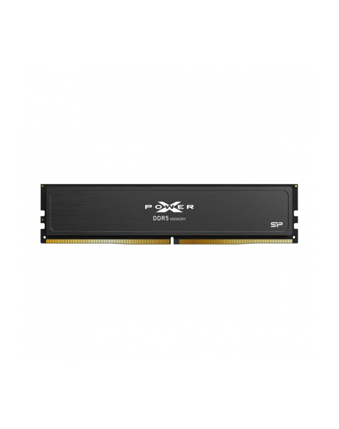 silicon power Pamięć DDR5 XPOWER Pulse 64GB/6000 2*32GB CL36 główny