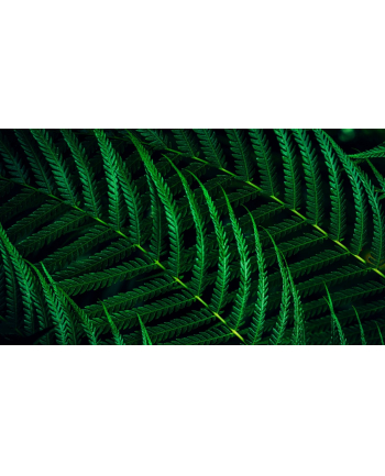 mmd-monitors displays nederland b.v. Monitor Philips 23,8'' 24B2G5200/00 IPS 100Hz HDMI DP VGA 4xUSB-A USB-B głośniki 2x3W nr 1