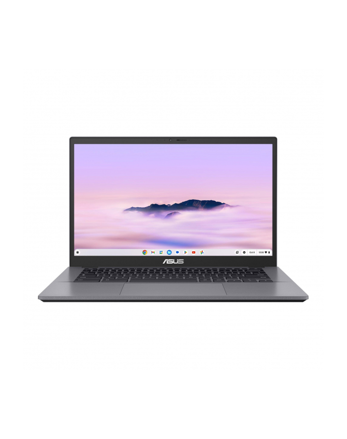 Notebook Asus ExpertBook CX3402CVA-PQ0294 14''FHD/i5-1335U/16GB/SSD256GB/IrisXe/Chrome Rocky Grey 3Y główny