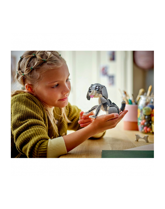 LEGO CREATOR 31163 główny