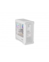 Obudowa Genesis Irid 503 ARGB Lite Matx Mini Tower z oknem Biała - nr 30