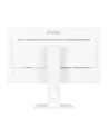 iiyama Monitor 27 '' XUB2797QSU-W2,IPS,HDMI,DP,100Hz,QHD,300cd,(5y) - nr 52