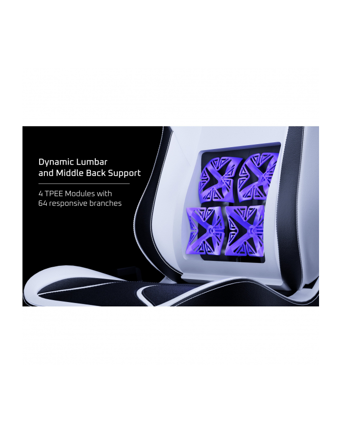 Vertagear SL5800, gaming chair (black/carbon, ContourMax Lumbar, VertaAir, Hygennx) główny